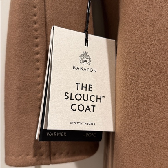 Aritzia Babaton The Slouch™ Coat - Virgin Wool Cashmere - Picture 9 of 14